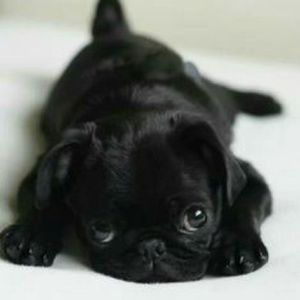 Meet your Posher, Margaret